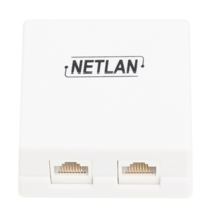 Розетка внешняя NETLAN EC-UWO-2-UD2-WT-10 <2xRJ45/8P8C, 110/KRONE, T568A/B, Кат.5e,100МГц, неэкранированная>