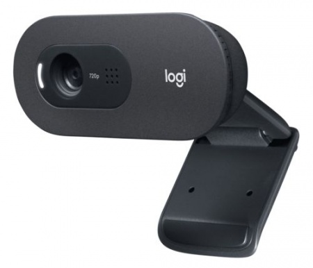 Веб-камера Logitech C505 (1280x720, с микрофоном, USB 2.0) Black (960-001364)