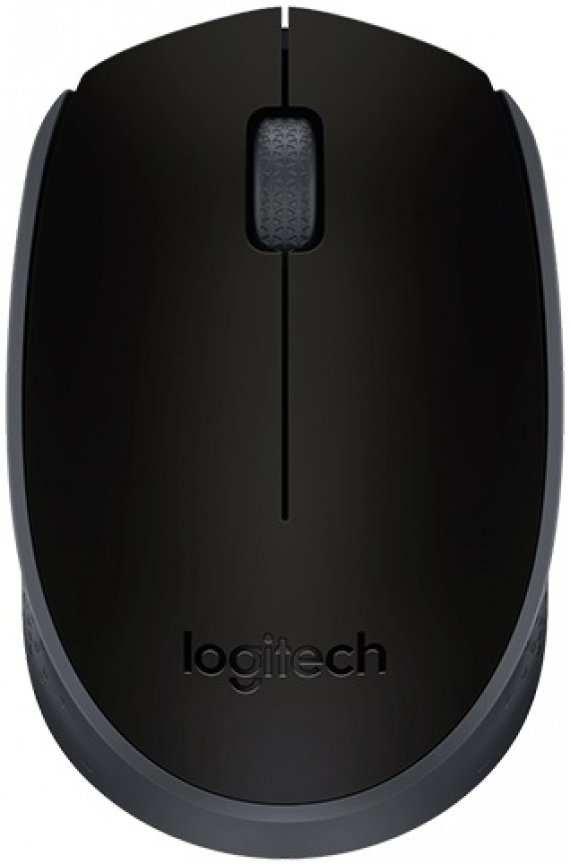 Мышь беспроводная Logitech M171 (USB, 1000 dpi, черный/серый) (910-004424)