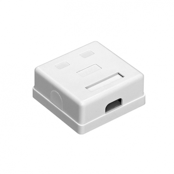 Розетка внешняя двойная ExeGate SM2-RJ45-C5 RJ-45 кат.5/5E UTP Krone/110 (EX292843RUS)